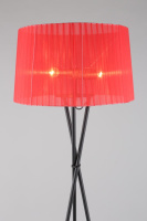 Торшер Fascia OML-62905-03