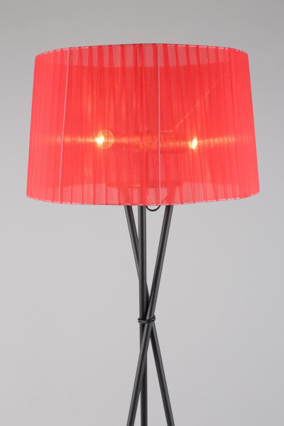 Торшер Fascia OML-62905-03