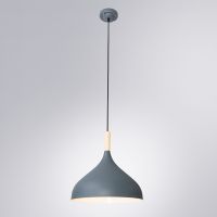 Подвесной светильник Arte Lamp Kayla A7101SP-1GY