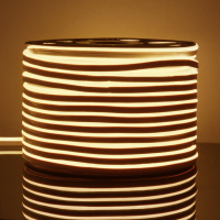 Гибкий неон Elektrostandard 9,6W/m 120LED/m 2835SMD теплый белый 50M