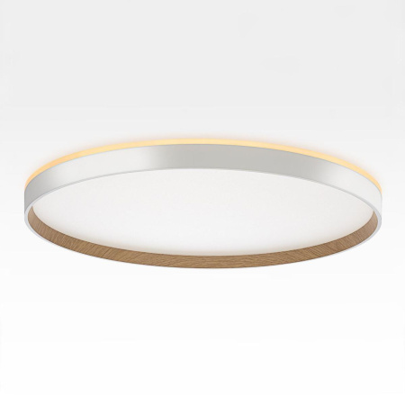 Накладной светильник Citilux Etalon CL750500R