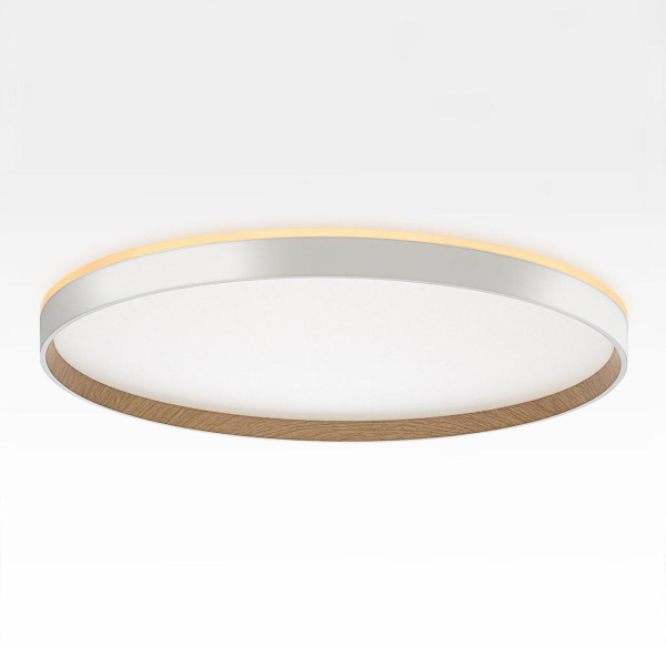 Накладной светильник Citilux Etalon CL750500R