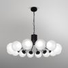 Потолочная люстра Eurosvet Vinter 201057 LED черный a072623
