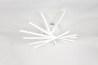 Потолочный светильник Rivoli Cordelia 6184-201 Б0068486