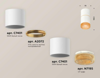 Комплект потолочного светильника Ambrella light Techno Spot XS (C7401, A2072, C7401, N7195) XS7401202