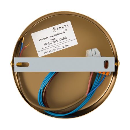 Люстра на штанге Freya Terra FR5260PL-04BS