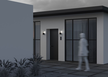 Уличный настенный светильник Maytoni Alura O492WL-01GF