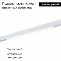 Трековый светодиодный светильник для магнитного шинопровода ST Luce ST657.596.27