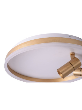 Потолочный светильник Zortes Raizy ZRS.1888.02