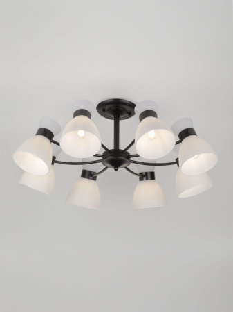 Люстра на штанге Rivoli Aemilia 9185-308 Б0069950