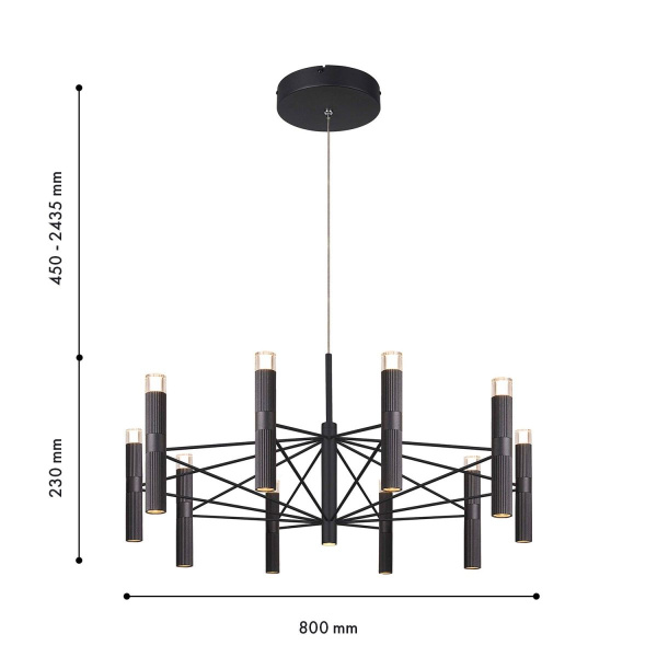 Подвесная люстра Favourite Blick 4758-10P