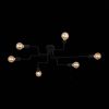 Потолочная люстра ST Luce Ano SL419.442.06