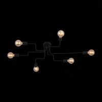 Потолочная люстра ST Luce Ano SL419.442.06