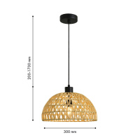 Подвесной светильник Favourite Canasto 4881-1P