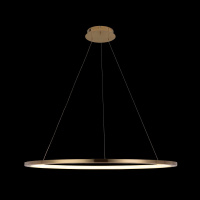 Подвесной светодиодный светильник Loft IT Ring 10014XL