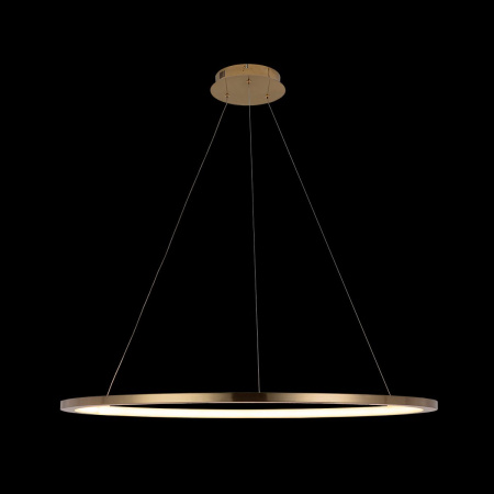 Подвесной светодиодный светильник Loft IT Ring 10014XL
