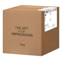 Подвесной светильник Freya Topi FR5503PL-01B