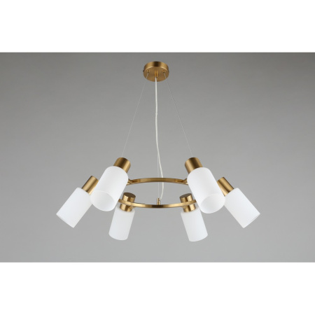 Подвесная люстра Omnilux Ales OML-69103-06