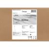 Подвесной светильник Freya Mallow FR5228PL-01C