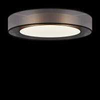 Потолочный светодиодный светильник Freya Zoticus FR6005CL-L48G