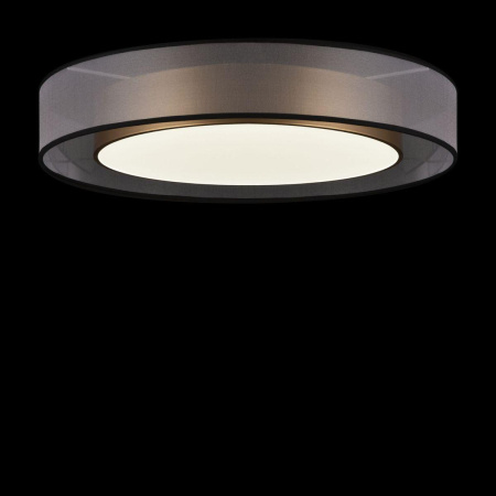 Потолочный светодиодный светильник Freya Zoticus FR6005CL-L48G