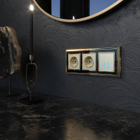 Сенсорный выключатель двухклавишный с подсветкой 1000 Вт (шампань) W4520011 Werkel