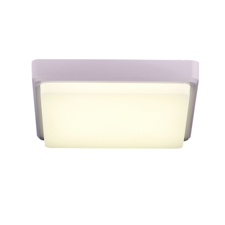 Потолочный светильник EVOLUCE TADDIO SLE200212-01