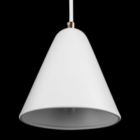 Подвесной светильник Freya Falke Market FR8001PL-01WG