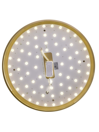 Потолочный светильник Zortes Gabby ZRS.90610.50