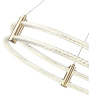 Подвесная люстра Zortes Ringer ZRS.57792.116
