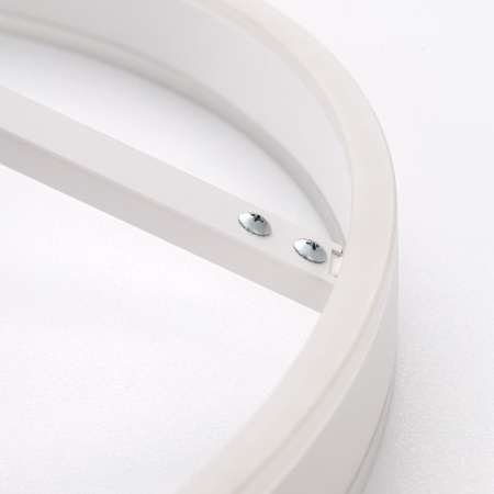 Потолочная люстра Citilux Дуэт CL719760