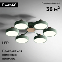 Потолочная люстра ImperiumLoft Move 178254-26