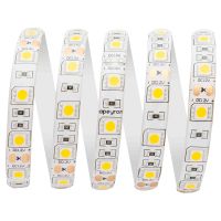 Светодиодная лента Apeyron 12В СТ 14,4Вт/м smd5050 60д/м IP65 700Лм/м 5м 3000К 00-11