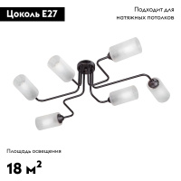 Потолочная люстра Vitaluce V4310-1/6PL