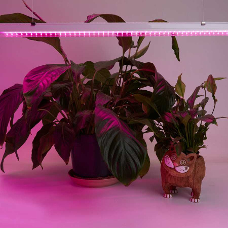 Светодиодный светильник для растений Feron AL7001 41352