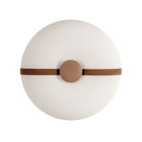 Потолочный светильник LOFT IT Bolina 10473