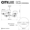 Люстра на штанге Citilux Alton CL421252
