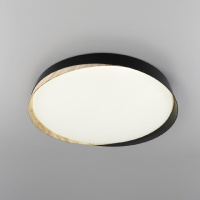 Потолочный светильник Citilux Bonny CL754451G