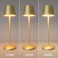 Настольная лампа с аккумулятором Maytoni Nook MOD494RL-L1BSK