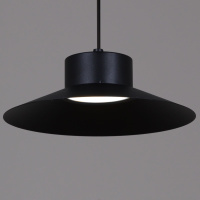 Подвесной светильник Reluce 40110-0.9-03A BK