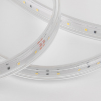 Светодиодная влагозащищенная лента Elektrostandard 8W/m 60LED/m 2835SMD холодный белый 50M