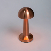 Настольная лампа Escada Evo 10257/L LED