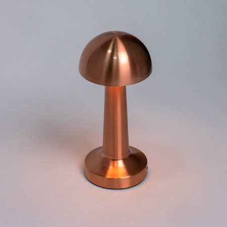 Настольная лампа Escada Evo 10257/L LED