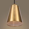 Подвесной светильник Freya Terra FR5260PL-01BS