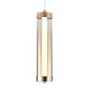 Подвесной светильник Indigo Rilucente 11061/1P Gold V000149L