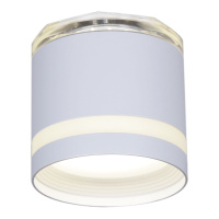 Накладной светильник Reluce 53001-9.5-001LD GX53+LED3W WT