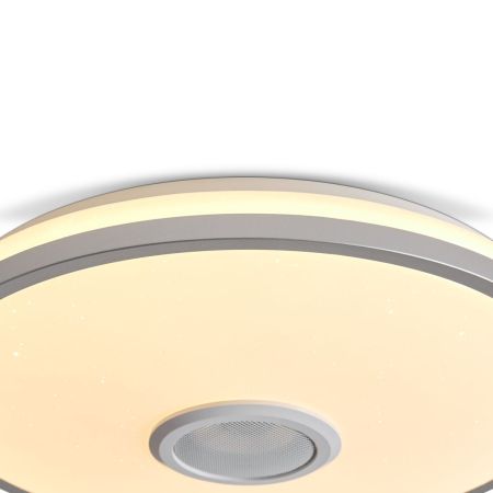 Потолочный светильник Freya Rond FR6226CL-L36W