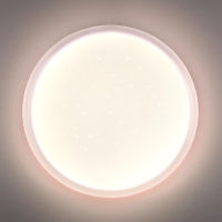 Настенно-потолочный светильник Sonex Pale Jolly 7774/ELN