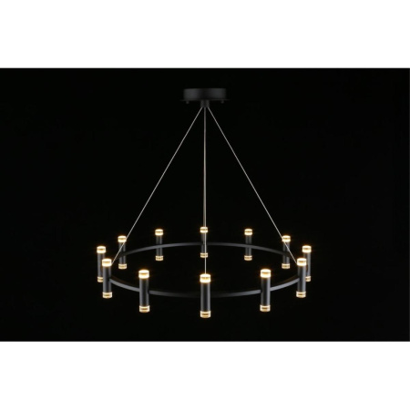 Подвесная светодиодная люстра Aployt Klarcia APL.037.03.120