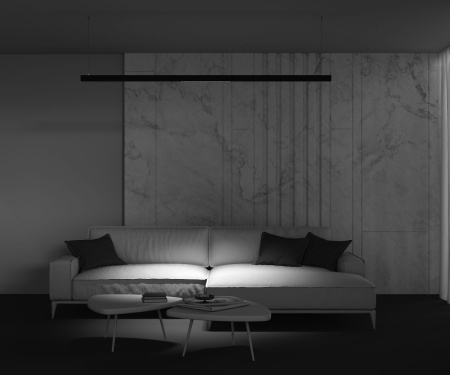 Трековый магнитный светильник Maytoni Points TR031-2-24W3K-B